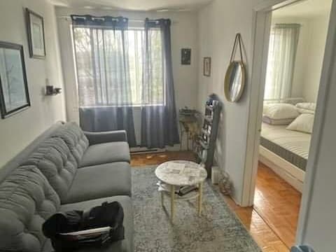 1 Bed 1 Bath Apartment